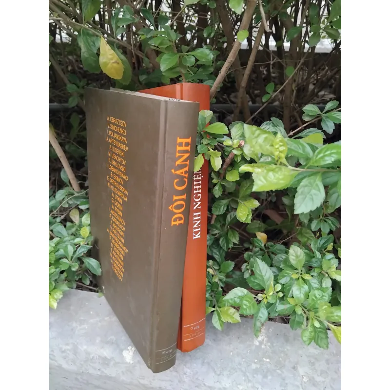 Đôi cánh + Kinh nghiệm tình ái combo 1002602