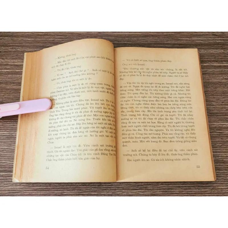 Tiểu thuyết TÌNH TRÊN NON CAO (nhà văn C. V. Gheorghu) - 286 trang 947869