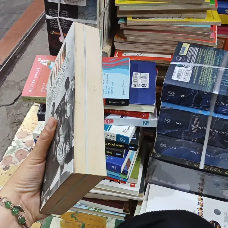 Lý Vỹ Linh Singapore của tôi 796239