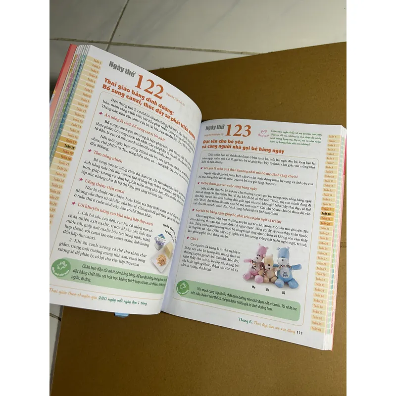 Thái giáo theo chuyên gia 280 ngày mỗi ngày đọc một trang (rách trang 26, ướt góc dưới) 732501