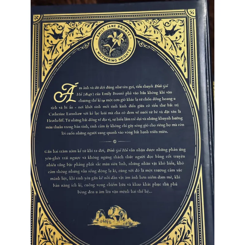 Combo không gia đình + đỉnh gió hú (bìa cứng) 998283