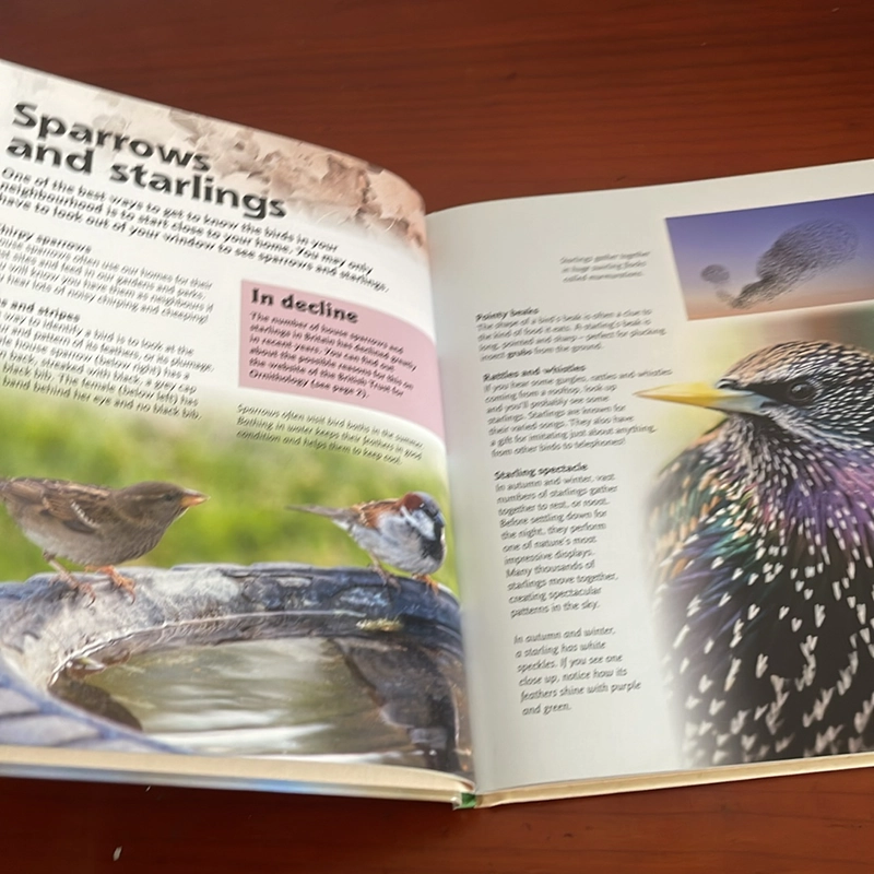 PICTURE BOOK British birds 534316