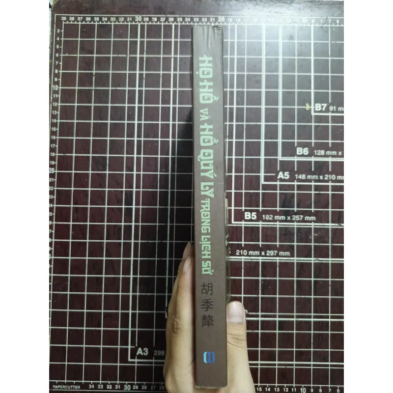 Họ Hồ và Hồ Quý Ly trong lịch sử - Nhiều tác giả 731147