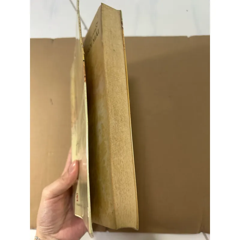 Thời gian trôi mãi 563232