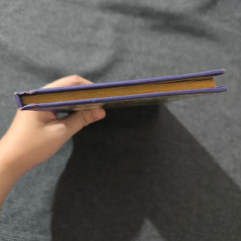 (Hard cover) Magic Tree House 6: Afternoon on the Amazin - Mary Pope Osborne 754571