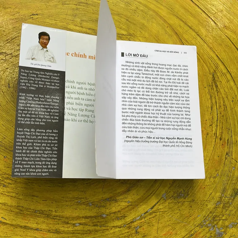 CẢM XẠ HỌC VÀ ĐỜI SỐNG- DƯ QUANG CHÂU 603154