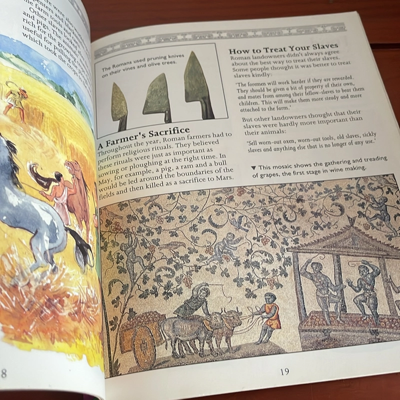 PICTURE BOOK The Romans 536954