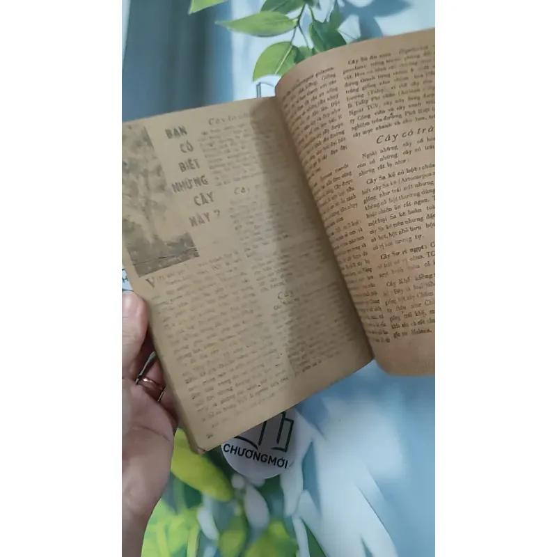 Tạp Chí Khoa Học Phổ Thông: Thảo Cầm Viên TP. Hồ Chí Minh 775989