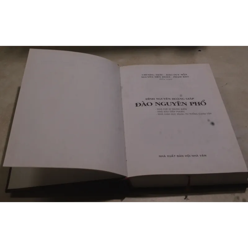 Đinh Nguyên Hoàng Giáp Đào Nguyên Phổ 973730