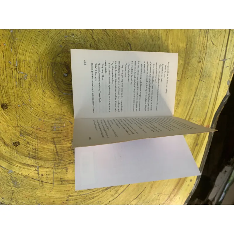 DIVERGENT- VERONICA ROTH- ONE CHOICE CAN TRANSFORM YOU 763283