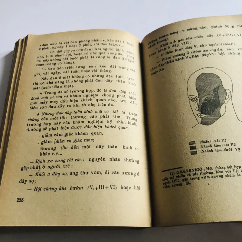 TỰ ĐIỂN TRIỆU CHỨNG VÀ ĐỊNH BỆNH  726521