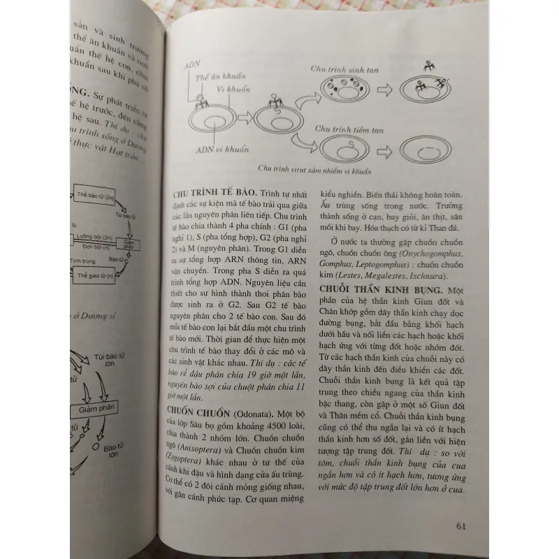 TỪ ĐIỂN SINH HỌC PHỔ THÔNG - BÌA CỨNG, KHỔ LỚN, CÓ MINH HỌA 732250