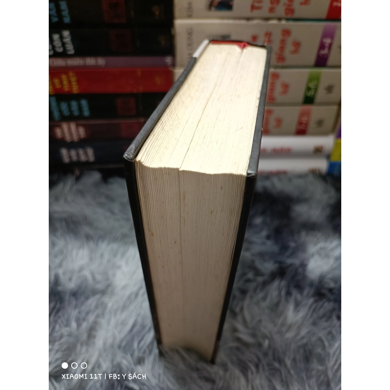 Cái trống thiếc 459898