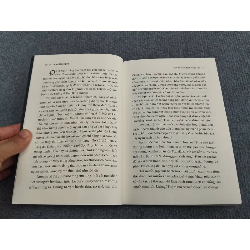 TÂM TƯ CỦA BẠCH TUỘC 990666