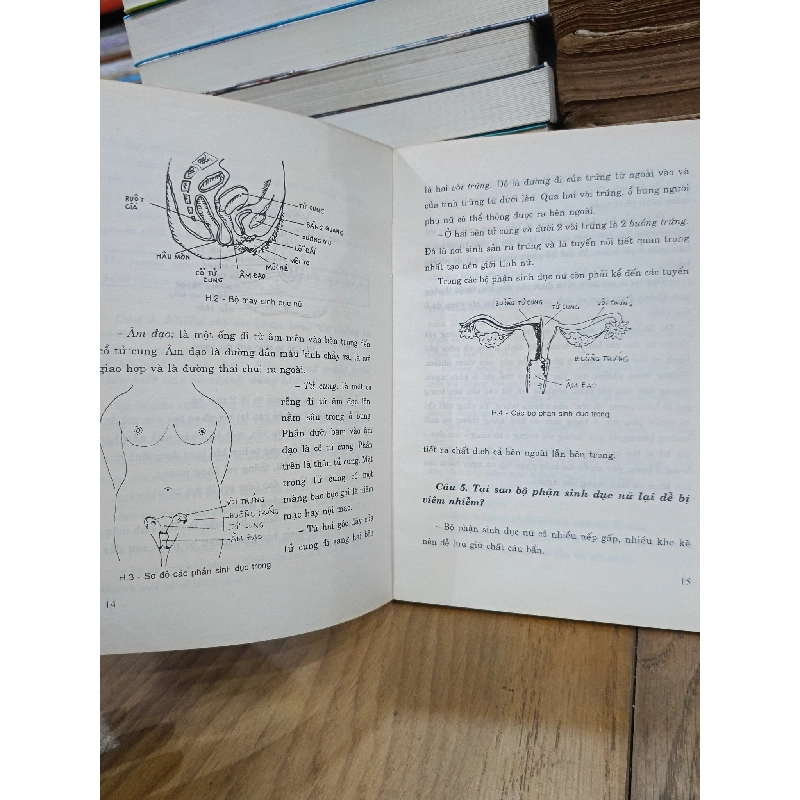 Những điều nên biết về phụ khoa - BS. Phó Đức Nhuận 934502