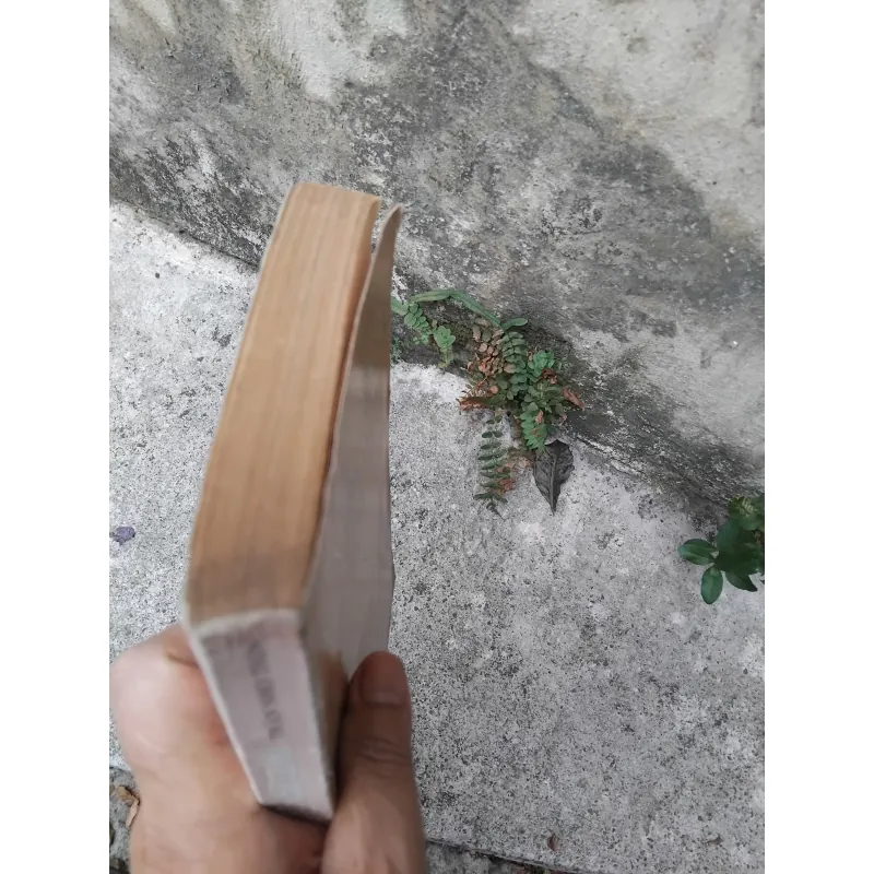 Văn học trung đại Việt Nam dưới góc nhìn văn hóa của GS Trần Nho Thìn  1022805