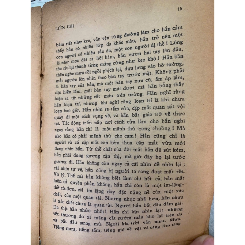 SÂM THƯƠNG - LIÊN CHI 523527