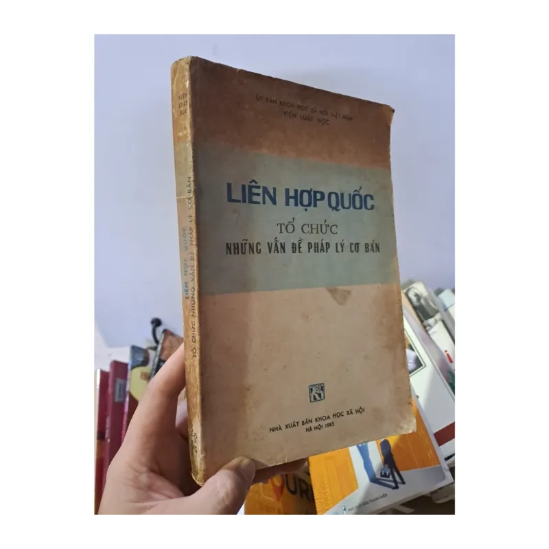 Liên hợp quốc tổ chức những vấn đề pháp lý cơ bản 983857