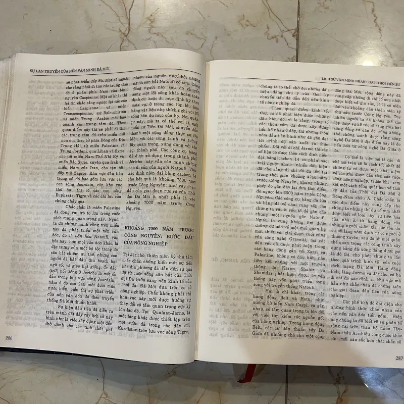 Lịch sử văn minh nhân loại (t4) 1024183