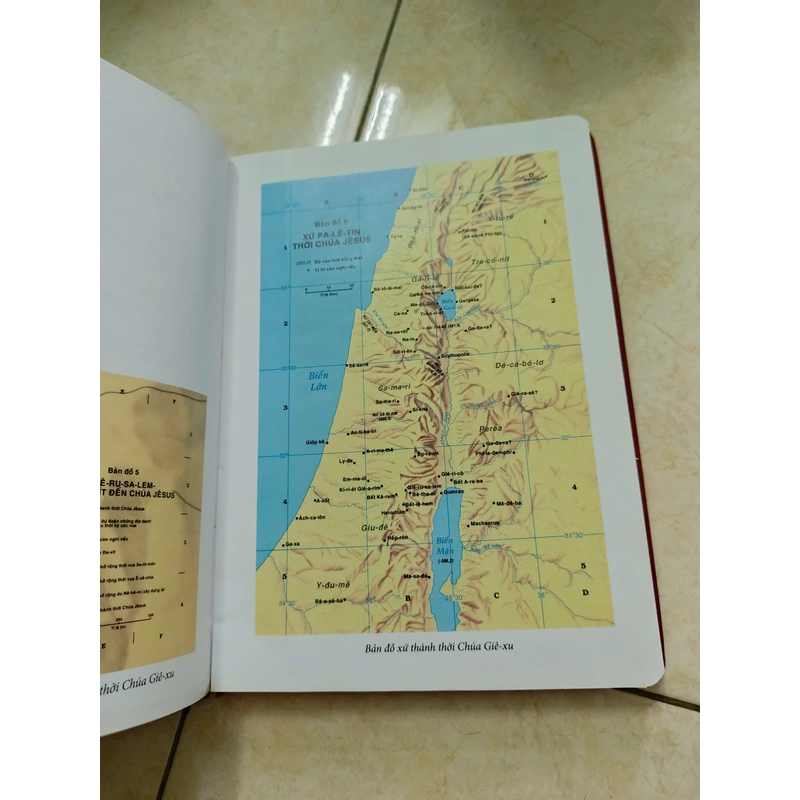 Tìm hiểu xứ Thánh qua hình ảnh 474628