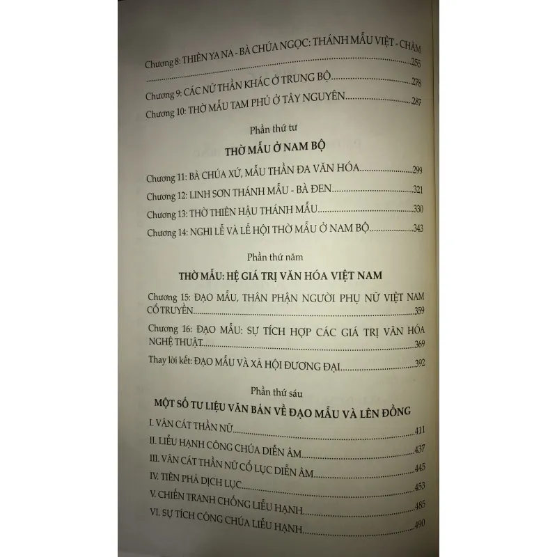 Đạo Mẫu Việt Nam  751404