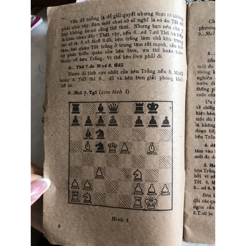 Đòn tra tấn - Lê Trung Dũng  1006404