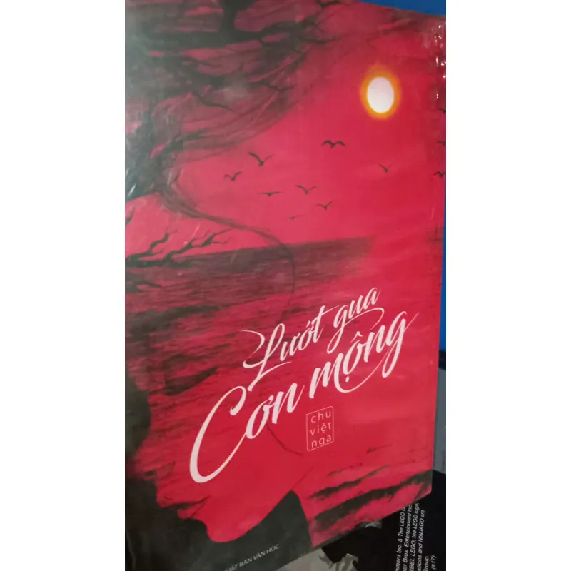 lướt qua cơn mộng 1001456