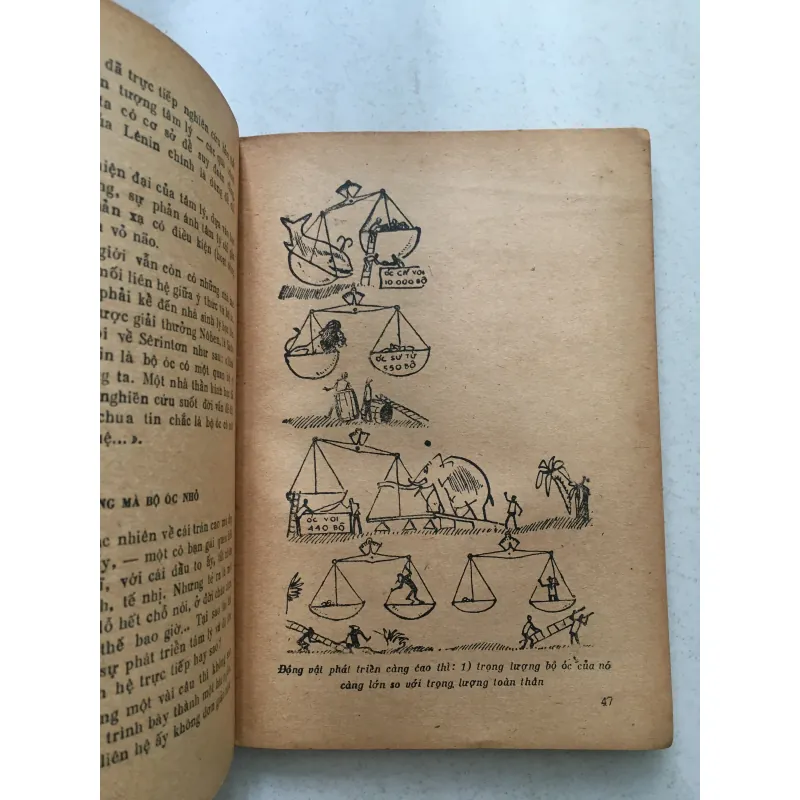 Tâm Lý Học Lý Thú - K.Platonov (NXB Thanh Niên 1983) trọn bộ 2 tập ( hiếm thấy) 561258