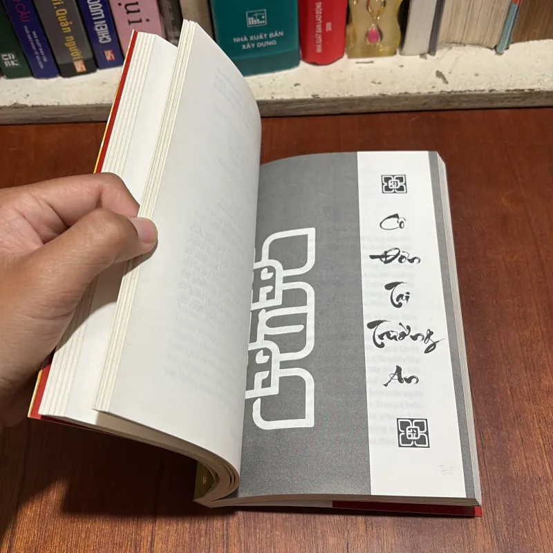 II Văn Học: Nguyễn Du _ Trên Đường Gió Bụi - Hoàng Khôi - 2002 801119