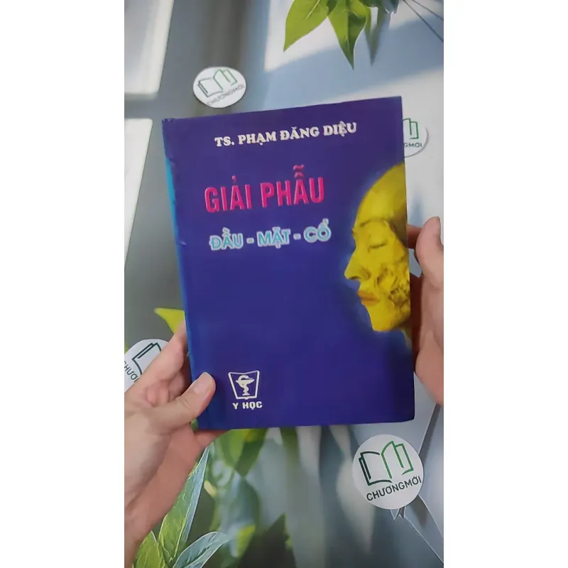 [MIỄN PHÍ BỌC SÁCH] Giải Phẫu (Đầu - Mặt - Cổ) - TS. Phạm Đăng Diệu 990450