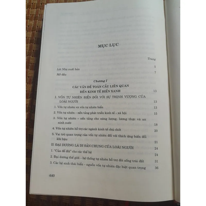 KINH TẾ BIỂN XANH CÁC VẤN ĐỀ... 933243