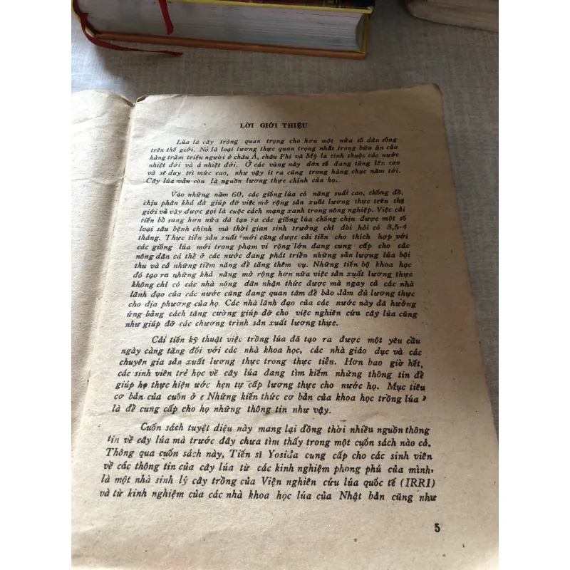 Những kiến thức cơ bản của khoa học trồng lúa 975867