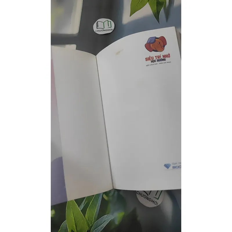 Siêu Trí Nhớ Học Đường - Nguyễn Phùng Phong 1018968