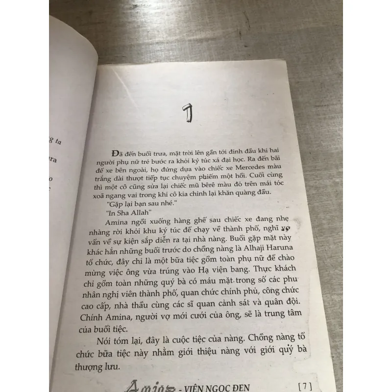 Amina - viên ngọc đen 784366