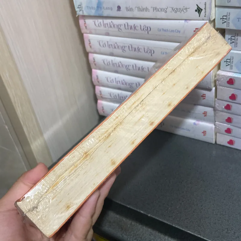 (Tiểu thuyết) - Ngày mai sương muối - Trương Tư Tần Quỳnh 1005033