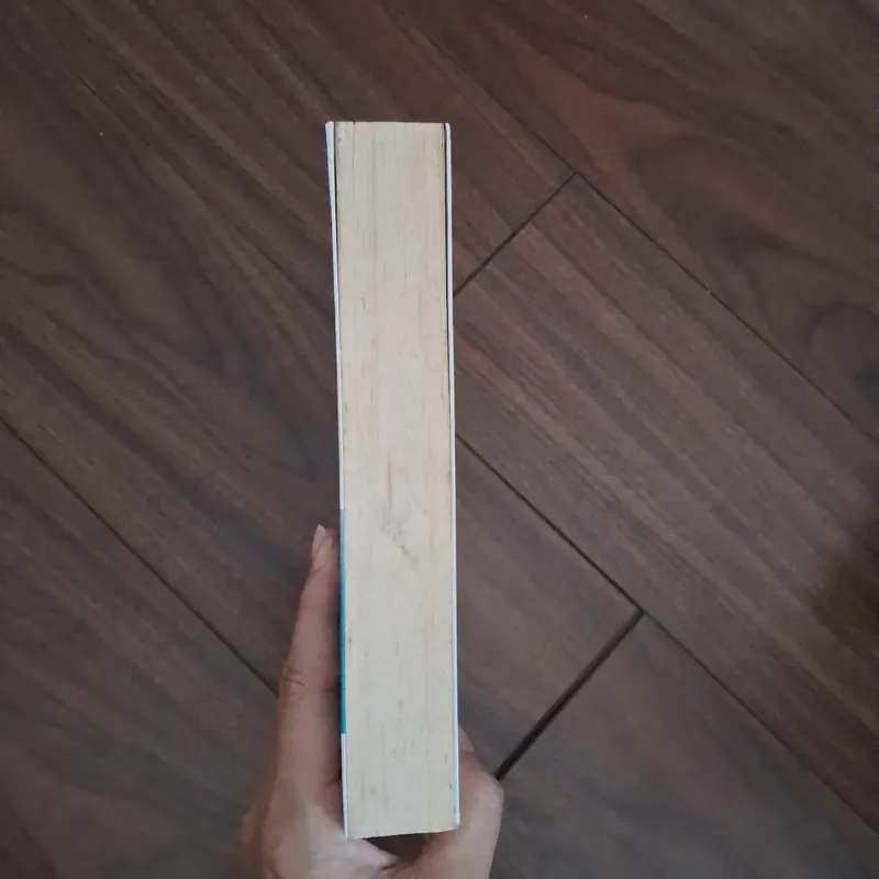 Thiên sơn mộ tuyết - phỉ ngã tư tồn 706329