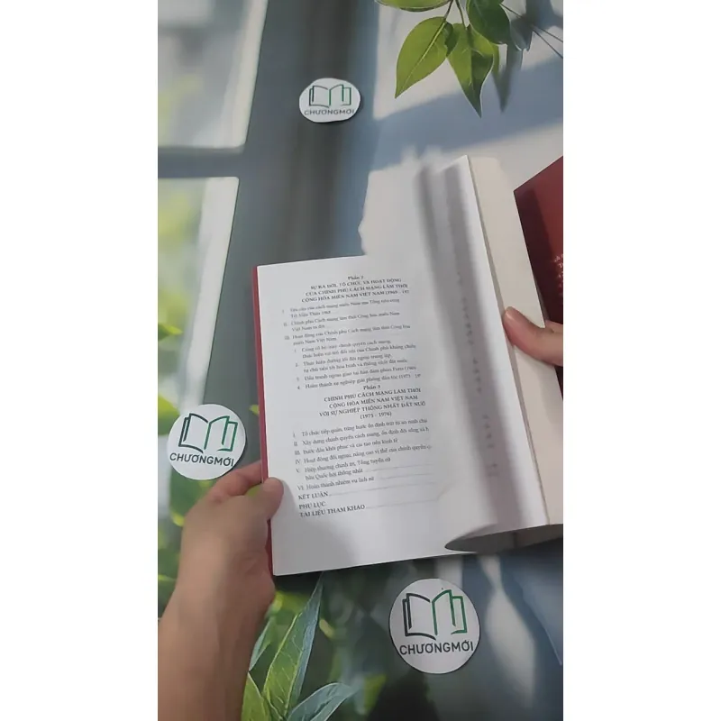 [MIỄN PHÍ BỌC SÁCH] Chính Phủ Cách Mạng Lâm Thời Cộng Hòa Miền Nam Việt Nam - Nguyễn Đình Thống 1018898