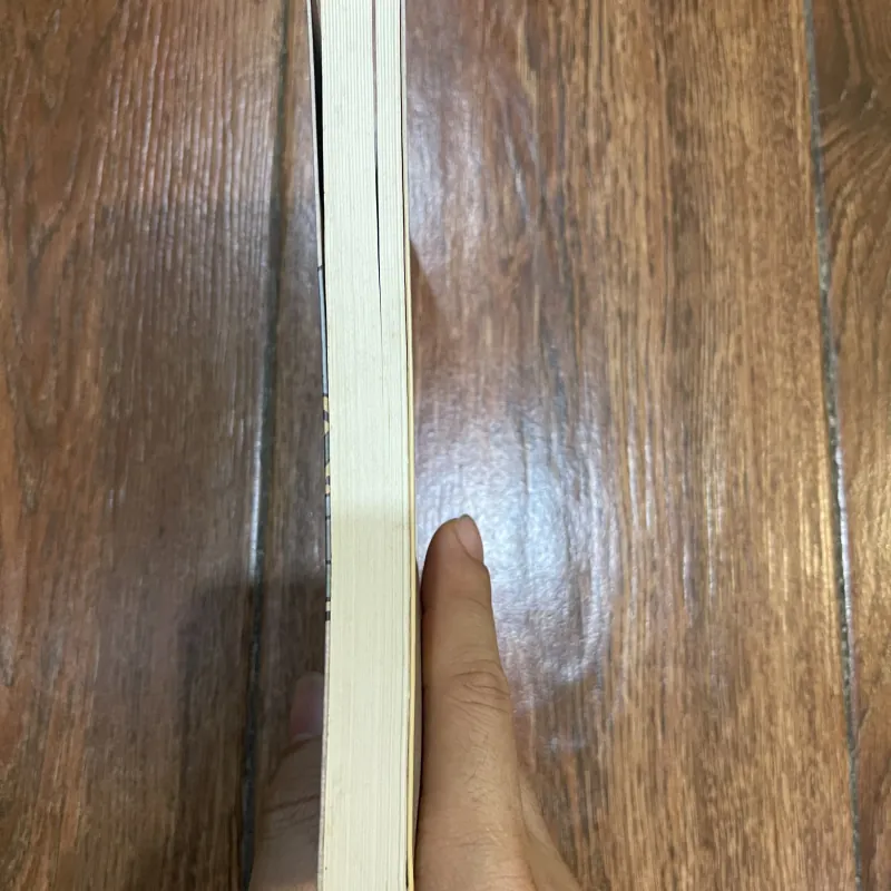 Làng quê đang biến mất - Tạ Duy Anh (15) 999179