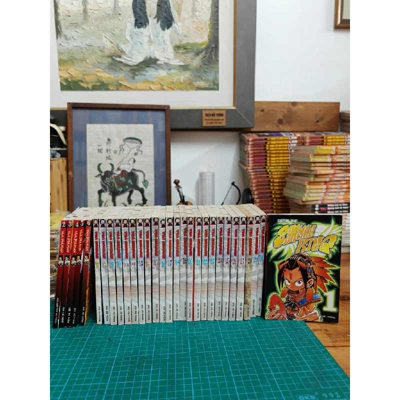 TRUYỆN TRANH SHAMAN KING ( VUA SHAMAN ) ĐỌC XUÔI 324438