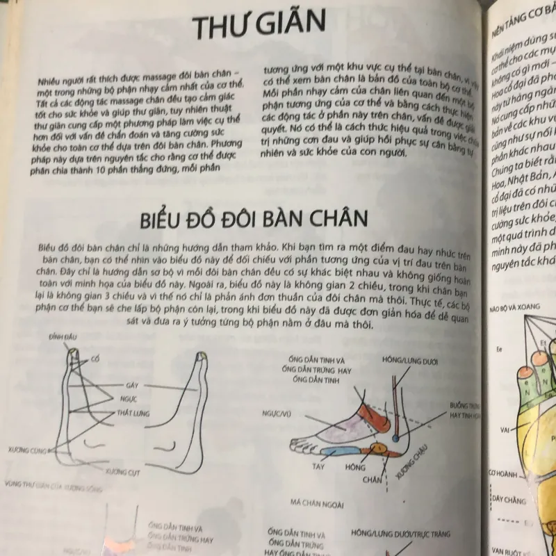 Sách dạy massage cho mọi lứa tuồi 1001311