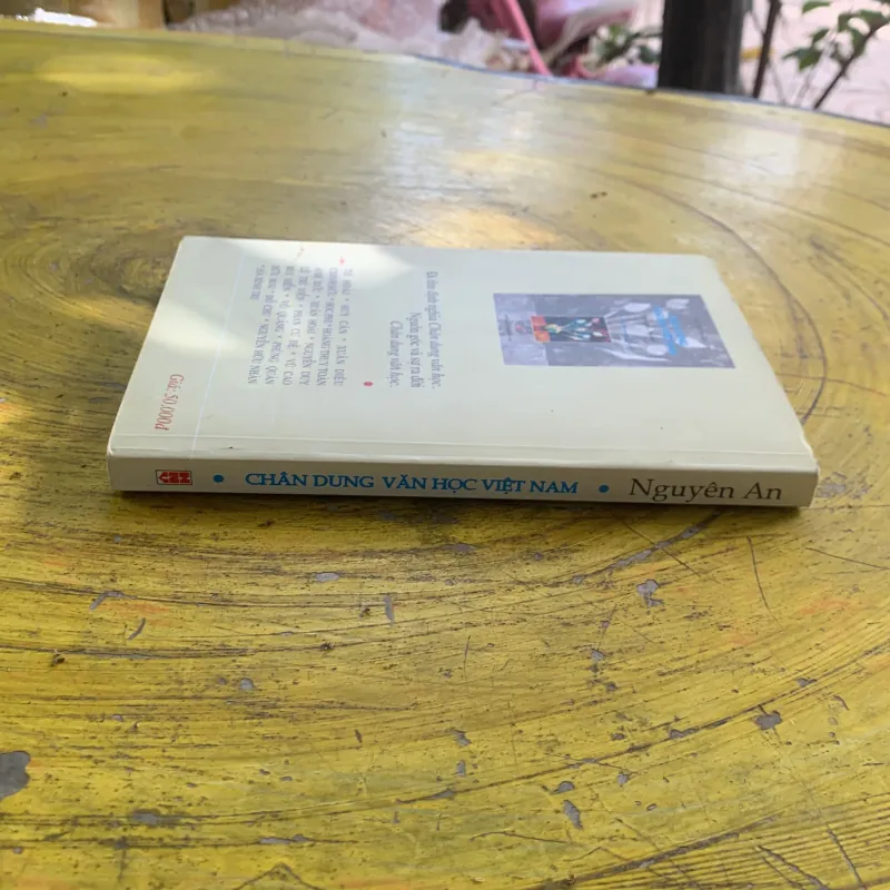 CHÂN DUNG VĂN HỌC VIỆT NAM Tiểu luận- Phê bình - NGUYÊN AN 958026