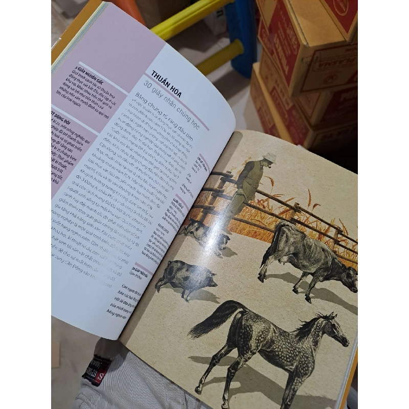 30 Nhân Chủng Học - Gabrielle M Finnm, Simon Underdown, Christian Jarrett, Julie A Lovegrove, Luis de Miranda - 2020 mới 90% - KHOA HỌC ĐỜI SỐNG - HMT3012 750095