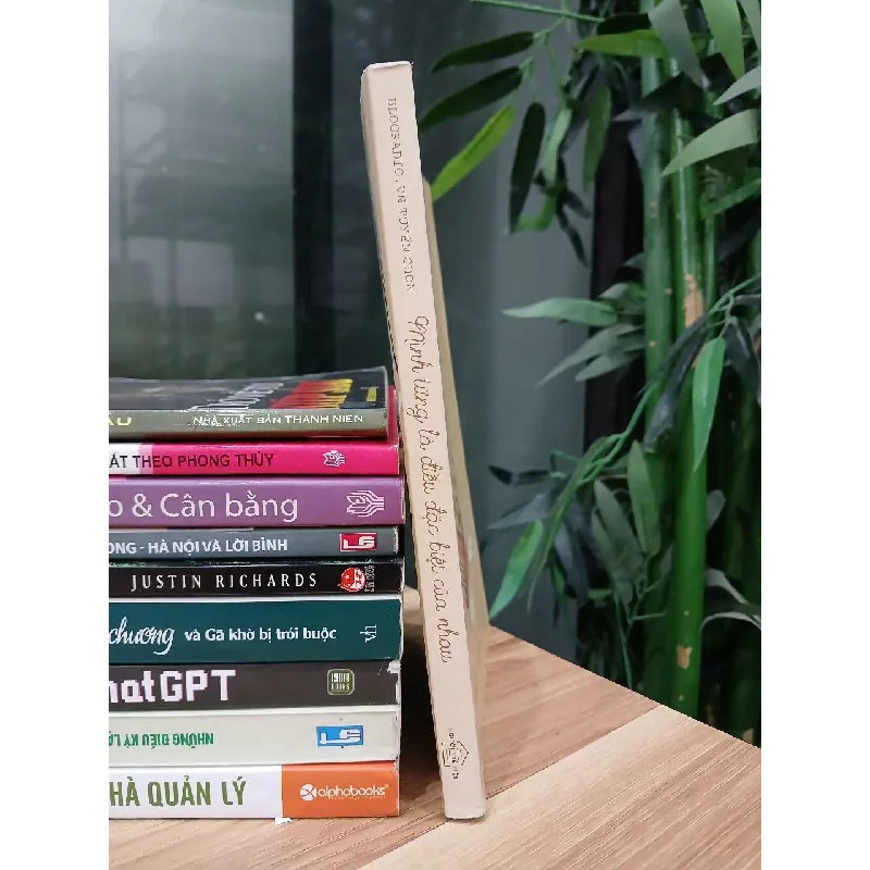 Mình từng là điều đặc biệt của nhau – Nhiều tác giả (Blogradio.vn) 570918