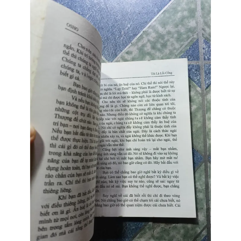 Tôi là lối cổng - Osho 1004287