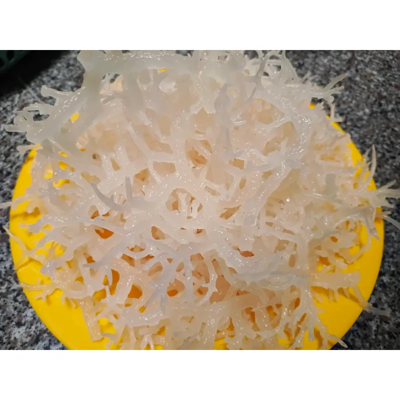 Rong sụn biển muối khô, dùng trộn gỏi ngày tết đãi khách, nấu nước mát, làm thạch, 778965