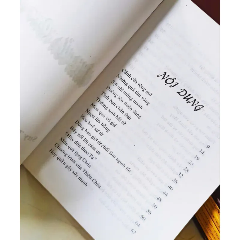 Cánh cửa rộng mở 🌻 592260