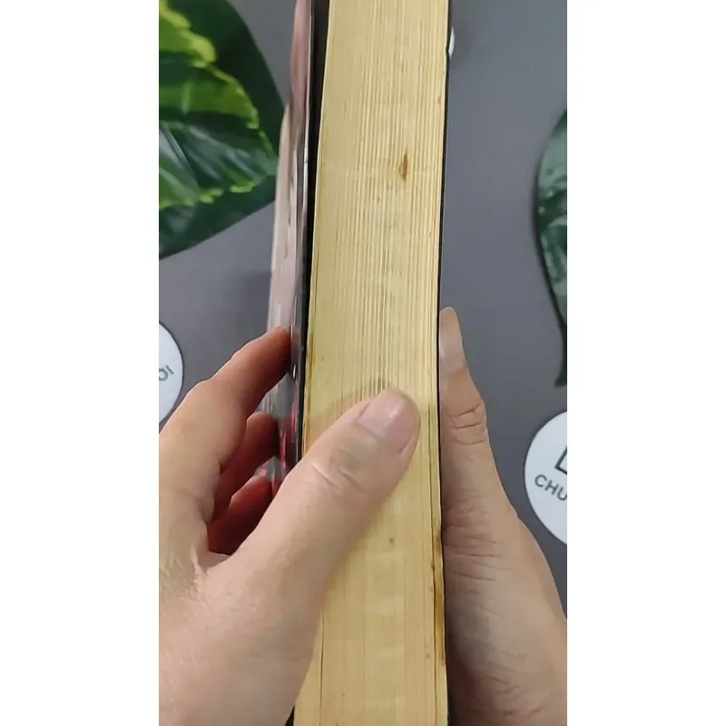 Trong Vòng Nôi Kẻ Thù (2013) - Sara Young 603333