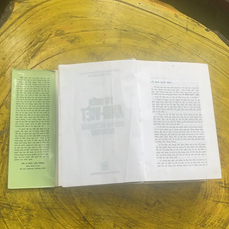 TỪ ĐIỂN ANH - VIỆT - ENGLISH- VIETNAMESE DICTIONARY  699413