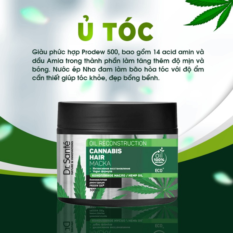 [CHĂM SÓC TÓC CHUYÊN SÂU – PHỤC HỒI HƯ TỔN] Mặt nạ ủ tóc Cannabis Hair 77370