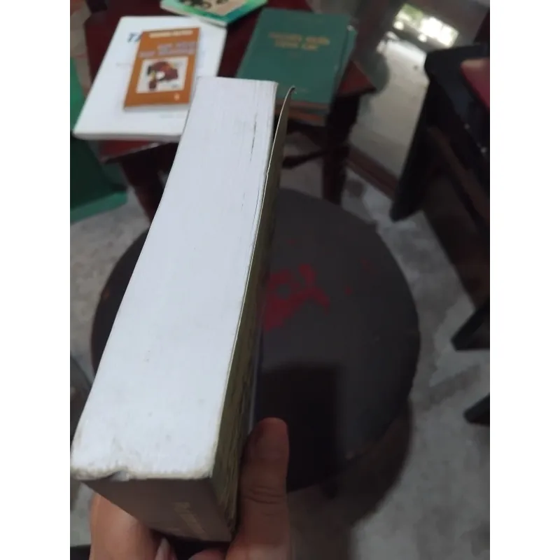 Phát triển bền vững vùng ven các đô thị tại Việt Nam  1002672